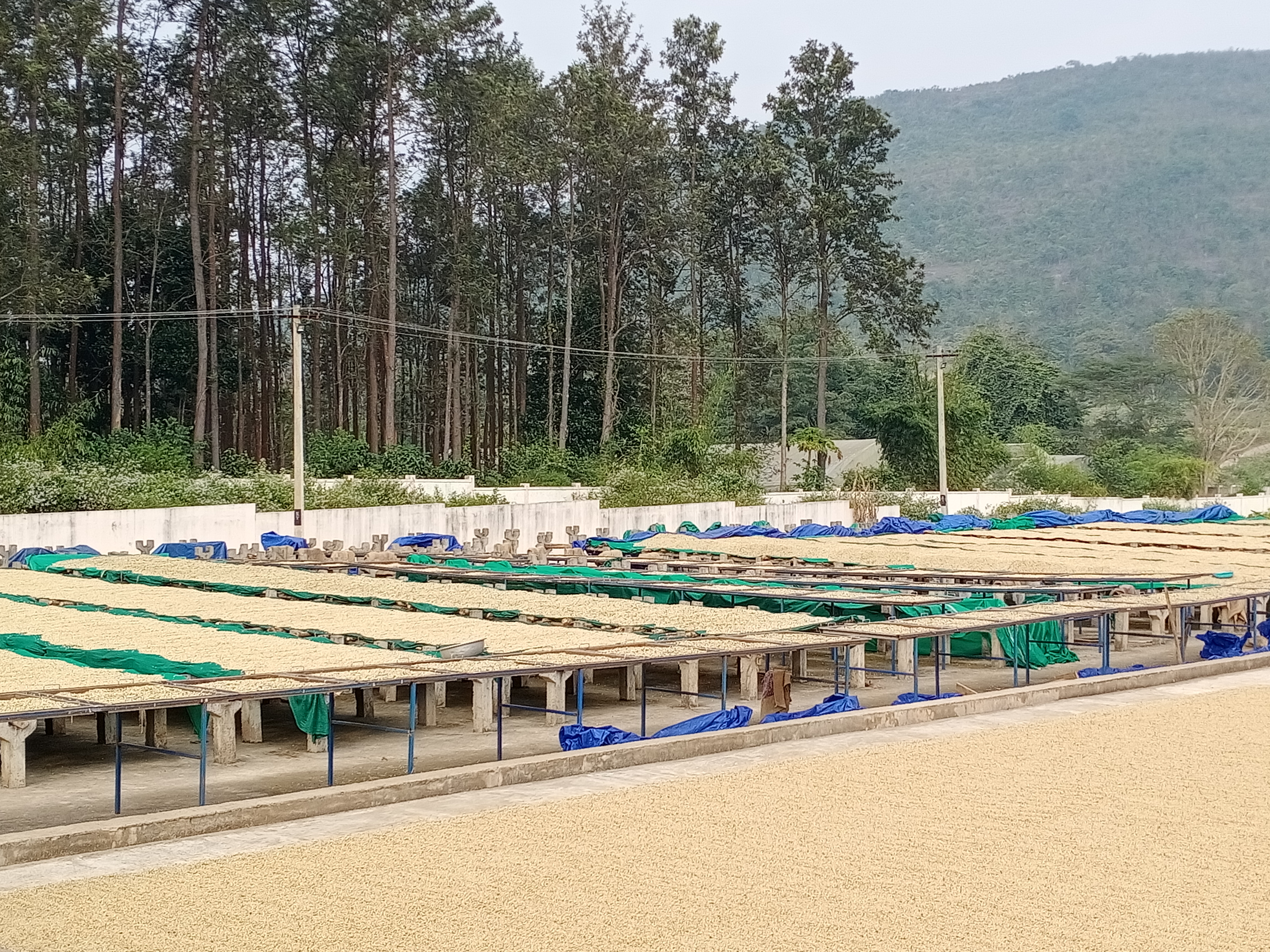 Post Harvest Technology